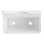 Benjamin 48 Inch Cast Iron Wall Mount Farmhouse Trough Sink
