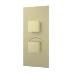 Thermostatic Valve - 2 Square Handles