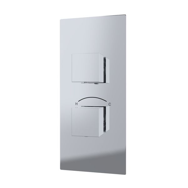 Thermostatic Valve - 2 Square Handles