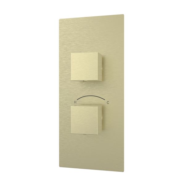 Thermostatic Valve - 2 Square Handles