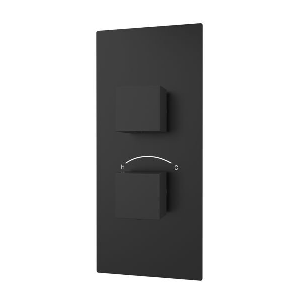 Thermostatic Valve - 2 Square Handles