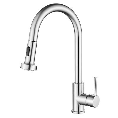 Remy Single Post Kitchen Faucet